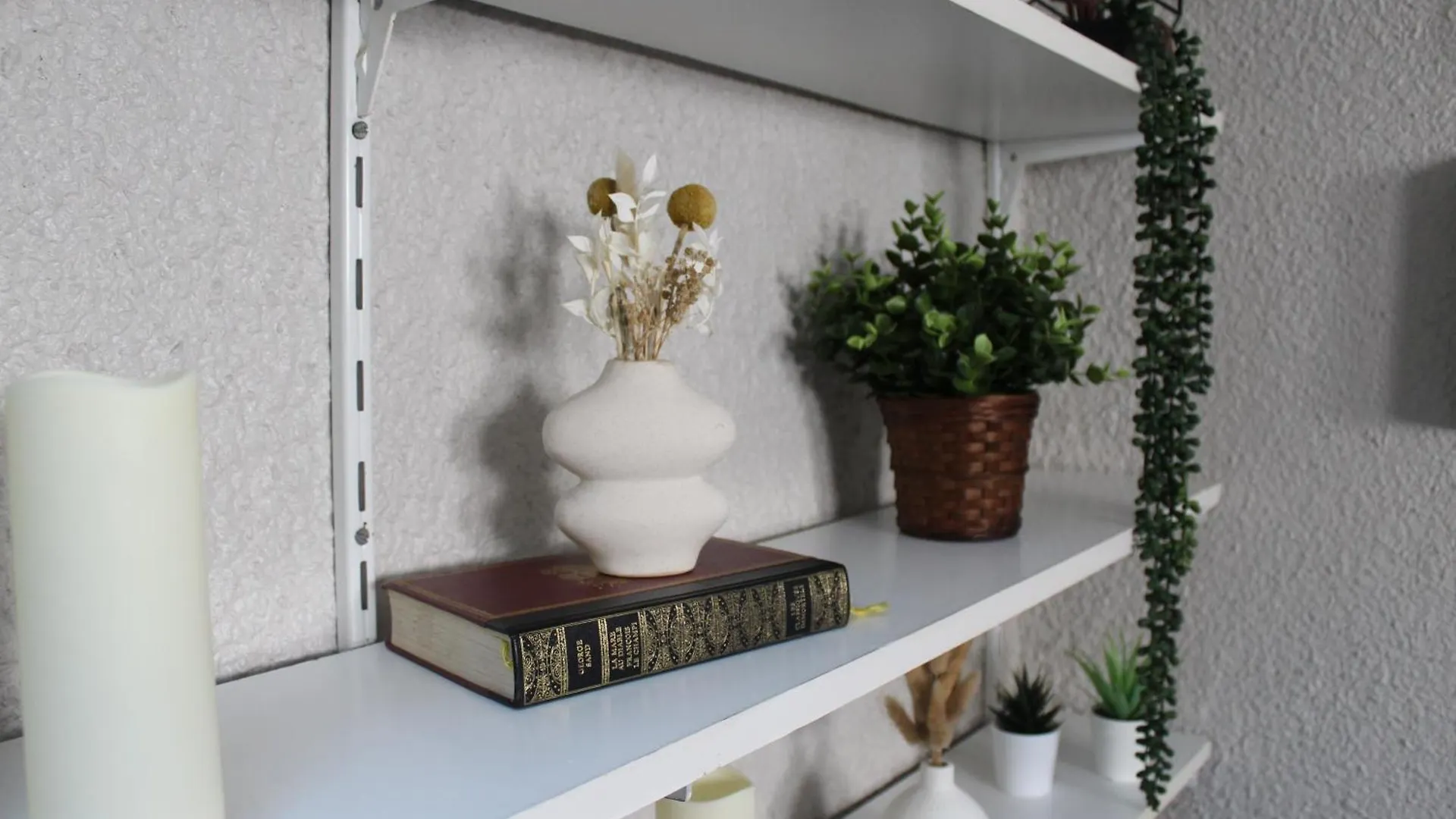 Lägenhet Cosy Home Charmant Duplex Au Coeur Toulouse